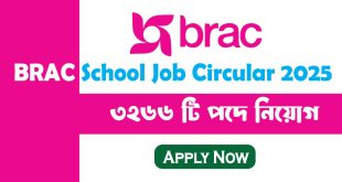 brac school job circular 2025
